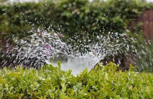 impianti di irrigazione roma