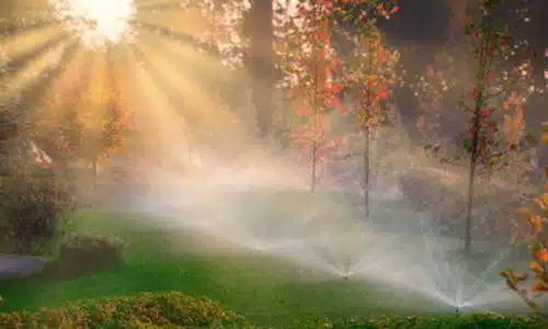 Foto di un impianti di irrigazione a spruzzo in una vasta area verde