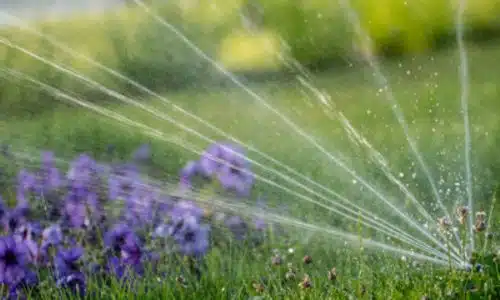 impianto di irrigazione a spruzzo