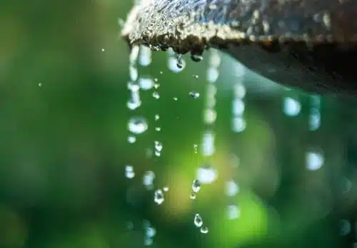 Immagine di un filtro di trattamento dell'acqua, come illustrato da Isaac Pollock su Pexels