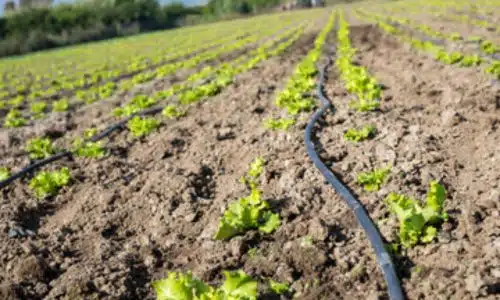 sistemi di irrigazione per orti